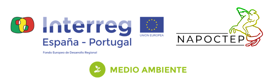 Logo INTERREG NAPOCTEP